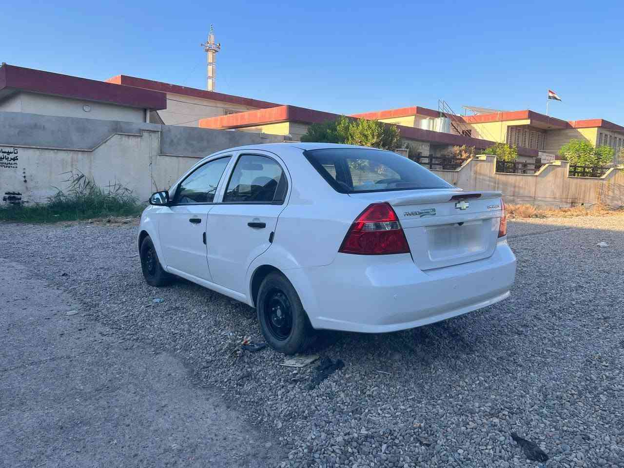 ٢٠٠٩ • رقم اربيل • بدون صبغ