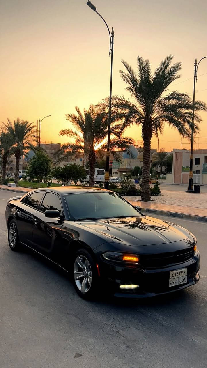 سلام عليكم
للبيع دووج جارجر  SXT موديل 2017 كفاله عامه حته الدعاميات 
رقم اربيل تحويل + وكاله شاشه الجبيره سماعات الباين 
السعر (( 178 )) وبيها مجال 
الاستفسار //  ***********
