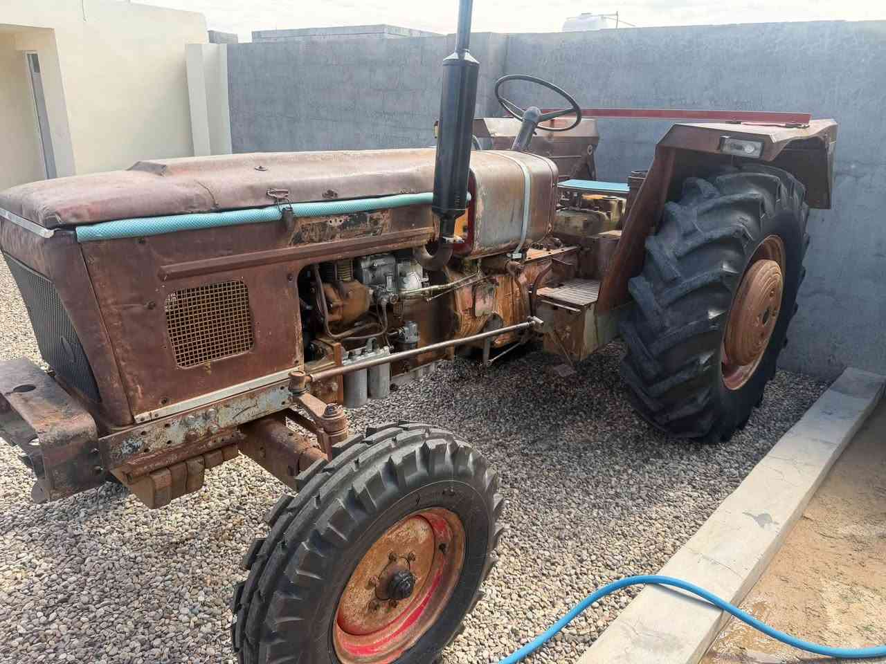 عنتر • ديالى