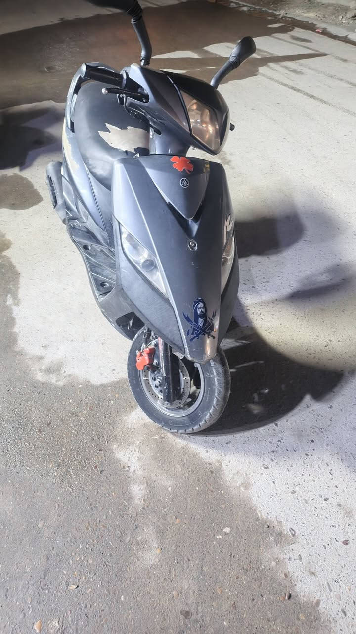 ماكس • ثعلب • جديده