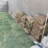 ثيل هندي • درجة أولى • حصن جعفر