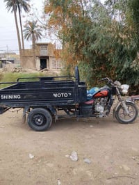 ستوته • موديل 19 • اوراق اصولي