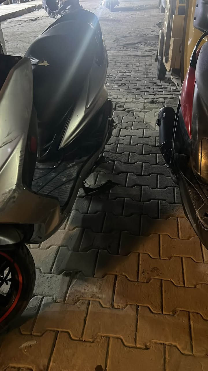 سكنس فحل • كوري • ما مفتوح