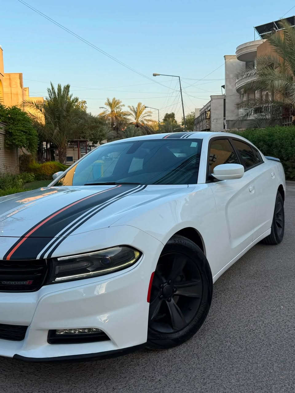 السلام عليكم 
لليدور جارجر جديده بالعافيه عليه هاي السياره
جارجر SXT 2016 كندي كفاله بدون قطره صبغ
رقم اربيل الجديد باسمي

موصفات
بصمه 
سستم صوت b
كشنات تدفئه 
رادار 
حساس امامي خلفي
انظمه قياده
شاشه كبيره 
تشغيل عن بعد 
كروز سرعه 
وبعد بيها مواصفات المعروفه

سياره جديده بمعنى الكلمه صدرها حلو كشرها حلو لابيه تكحيل لا صبغ لا شخوط سياره على وضع البلاد حت دعامياتها الاصليه 

ادامه كامله على المحرك والدهون والفلاتر يعني سياره كامله مناقصها شي حت تخم تاير شادلها صدر كله قطعه وحده 

رايدها ب194 ورجاءً مو شراي لتعلق وتعبني كلمه طيبه منك واعبر المنشور حبيبي انت🤍🌹
مكاني الوزيرية
للاستفسار ***********
