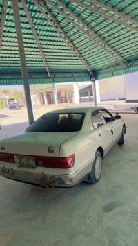بطه يمنه • كير شرط • تبريد ثلج