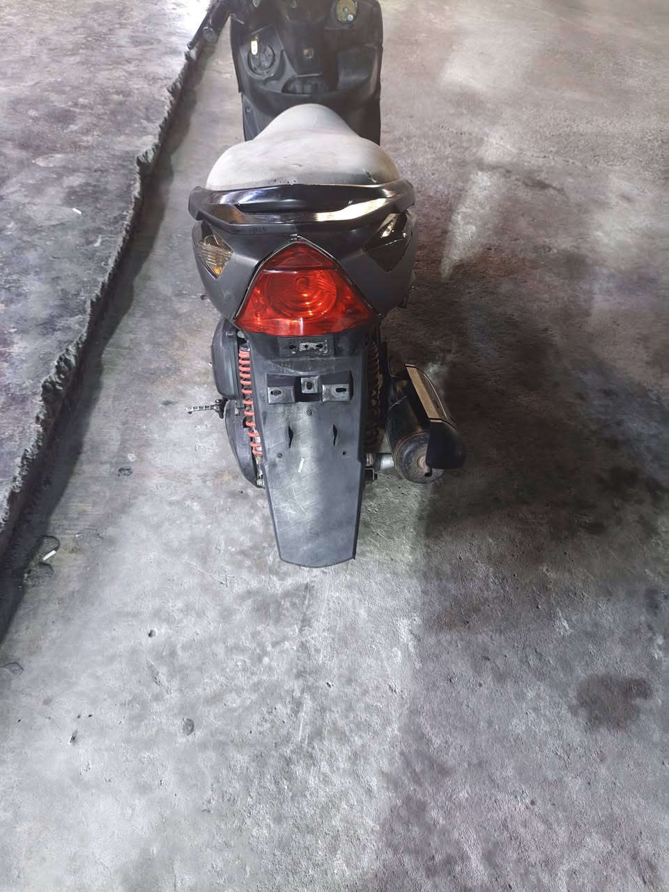 ماكس ثعلب • ١٤٠ • مكفول
