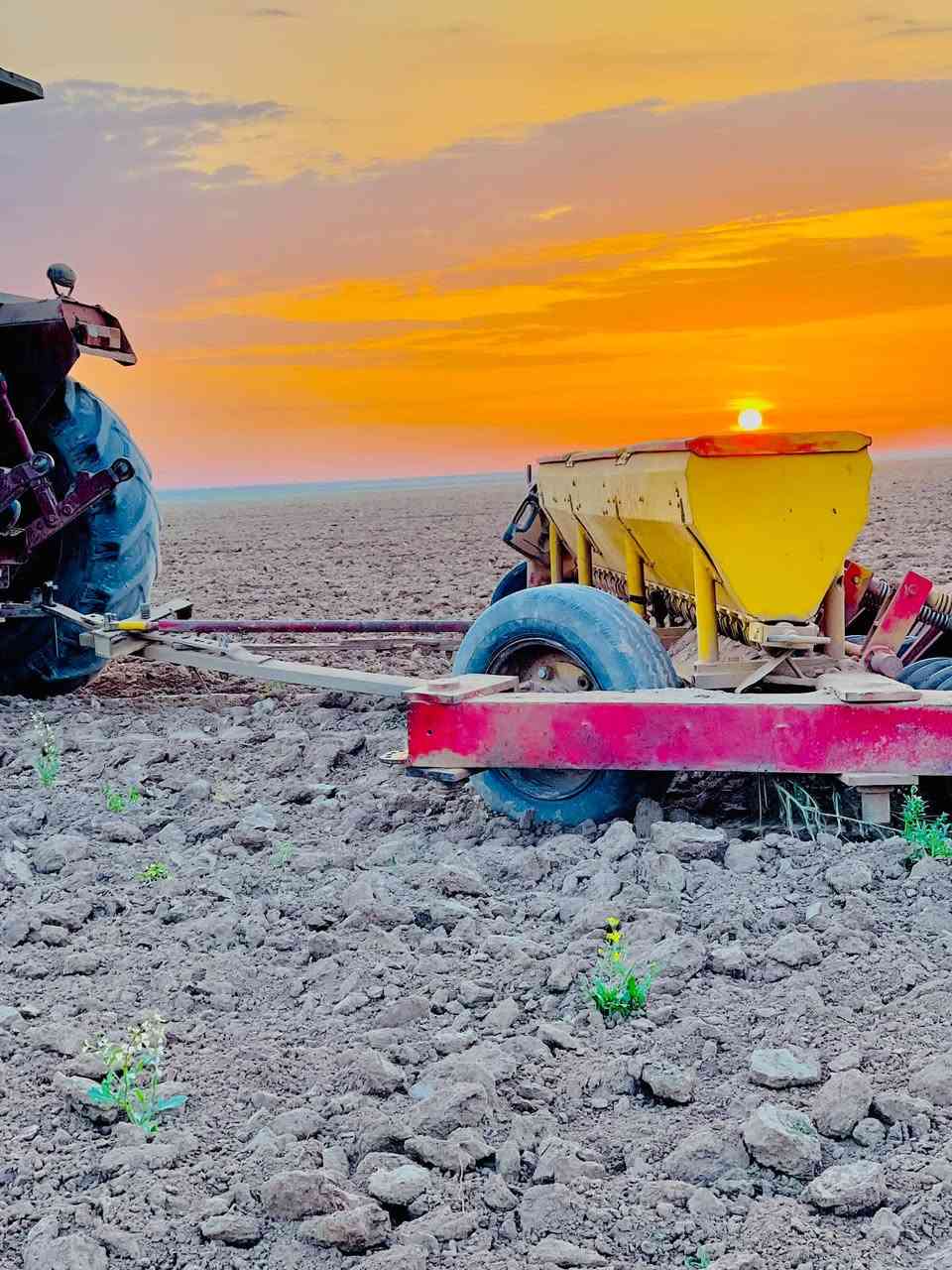 يوجد بذاره للبيع 24 السعر تصال
‭***********‬/***********
