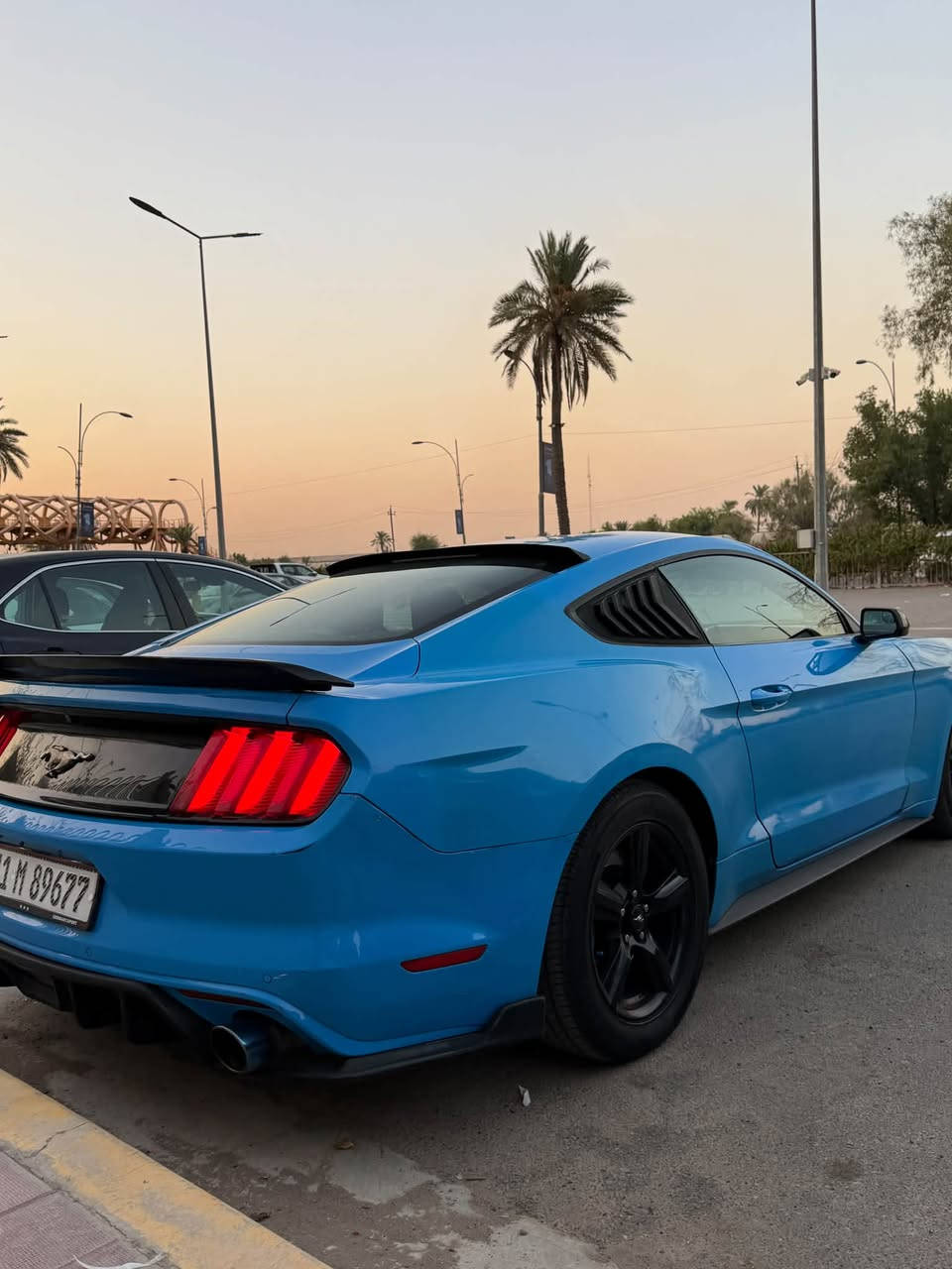 موستنك 2017-6v
لون بحري مميز
رقم بغداد سنويه وهزه جديده باسمي
-ماشيه 80mile 
-حداديه امامي وخلفي جديده
-عليها دبات بورلا تفتح وتنسد على الريمونت +هزاز جديد
-محرك وكير واكسل بشرط
-تشغيل عن بعد
-وياله موستنك بلاد +زوج تاير جديد
-بلكات رايسنك مجاول ونوزلات جدد
-عليها ادامه جديده
-دفيوزر شيلبي
-بنيد ودعاميه شيلبي
-دهن كير ومكينه واكسل مبدل جديد من وكاله موتل 
-مبرمجه السياره يم ديبو دراك
-اي نقص بالكهربائيات ماكو كامله مكمله السياره
-السياره مانازله استعراضات
-شاشه تاب
حادثها خفيف 
بيها قطع صبغ قليله ابيعلك حزام 
سونار موجود
&السياره بأسمي مداور ثاني يوم و + ماعليها غرامات ابد
سعر سياره 135وبيها مجال مكانها بغداد منصور
***********
