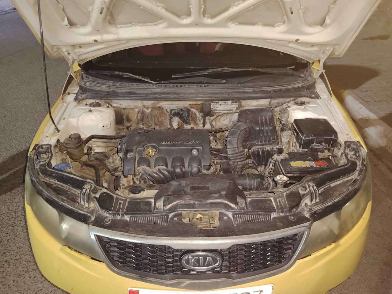 سيراتو موديل 11 بيه ضربه بل جاملخ الخلفي 
بيع فقط السعر 80 وبيه مجال بصيط 
عنوان السماوه الرميثي للاستفسار على الواتساب 
*********** Singapore
