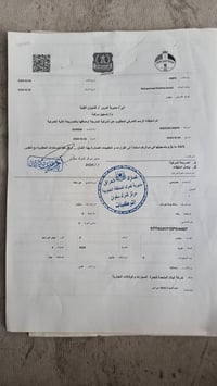 كوراندو • ٢٠٢٥ • زيرو