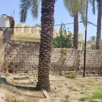 دغارة سومر • ٦٠٠م • طابو صرف