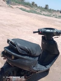 حك بالجهه • البصرة كرمة علي