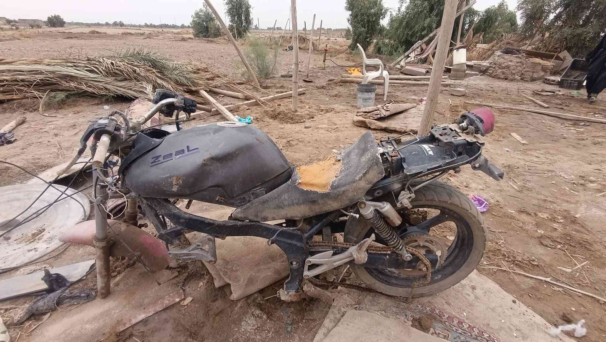 بطح • نضيف • اوراق