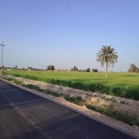 ٥ دونم • طابو سند ٢٥ • منطقة الشيخ عامر