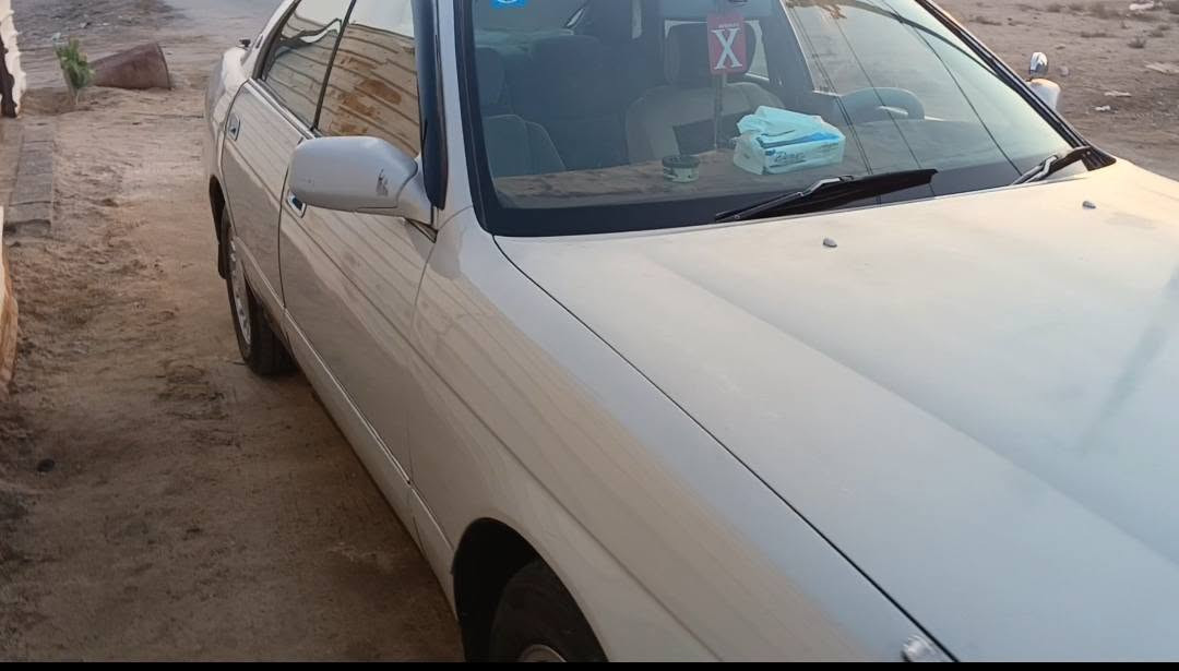 بطه • واتساب • البصرة
