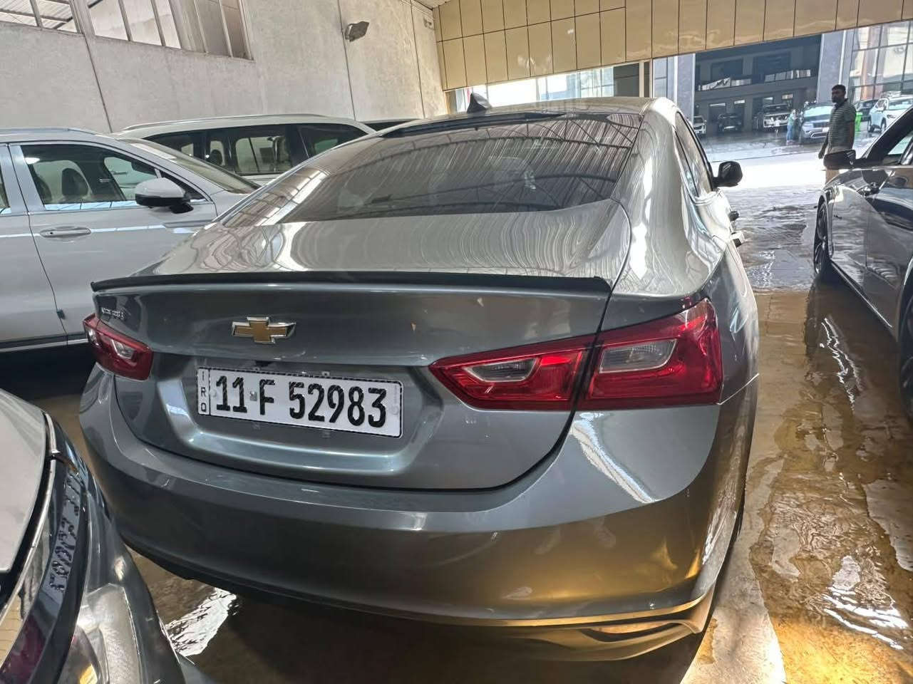 ماليبو • ٢٠٢٤ • وارد أمريكي