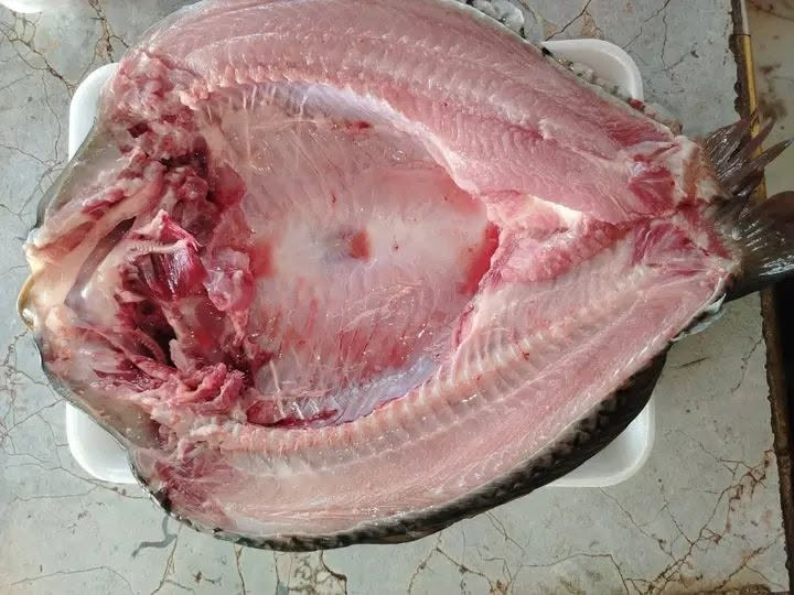 سمج كاريبي يلبط كيلو 4500 للطلب ***********
