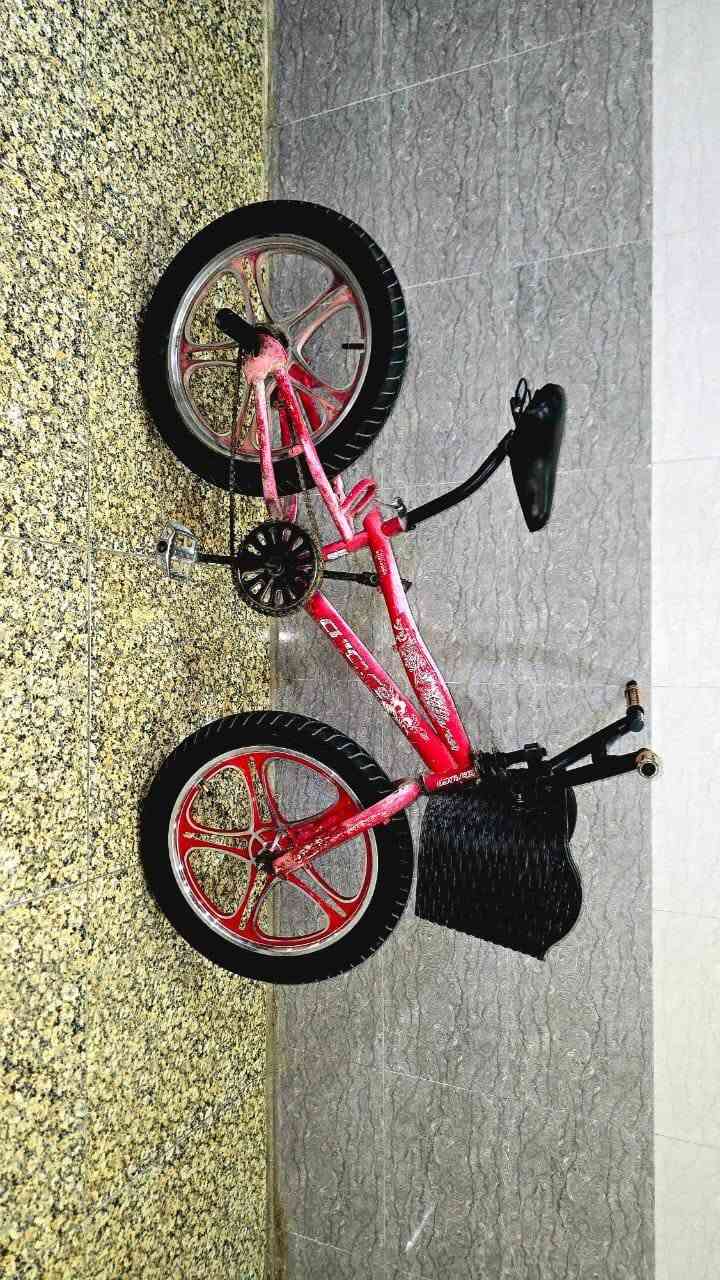 متاح
بيسكل BMX  (بي أم اكس) البريك بالبايدر للخلف السعر (40) الف بي مجال / بغداد العبيدي
هـ  ***********
لايوجد توصيل
