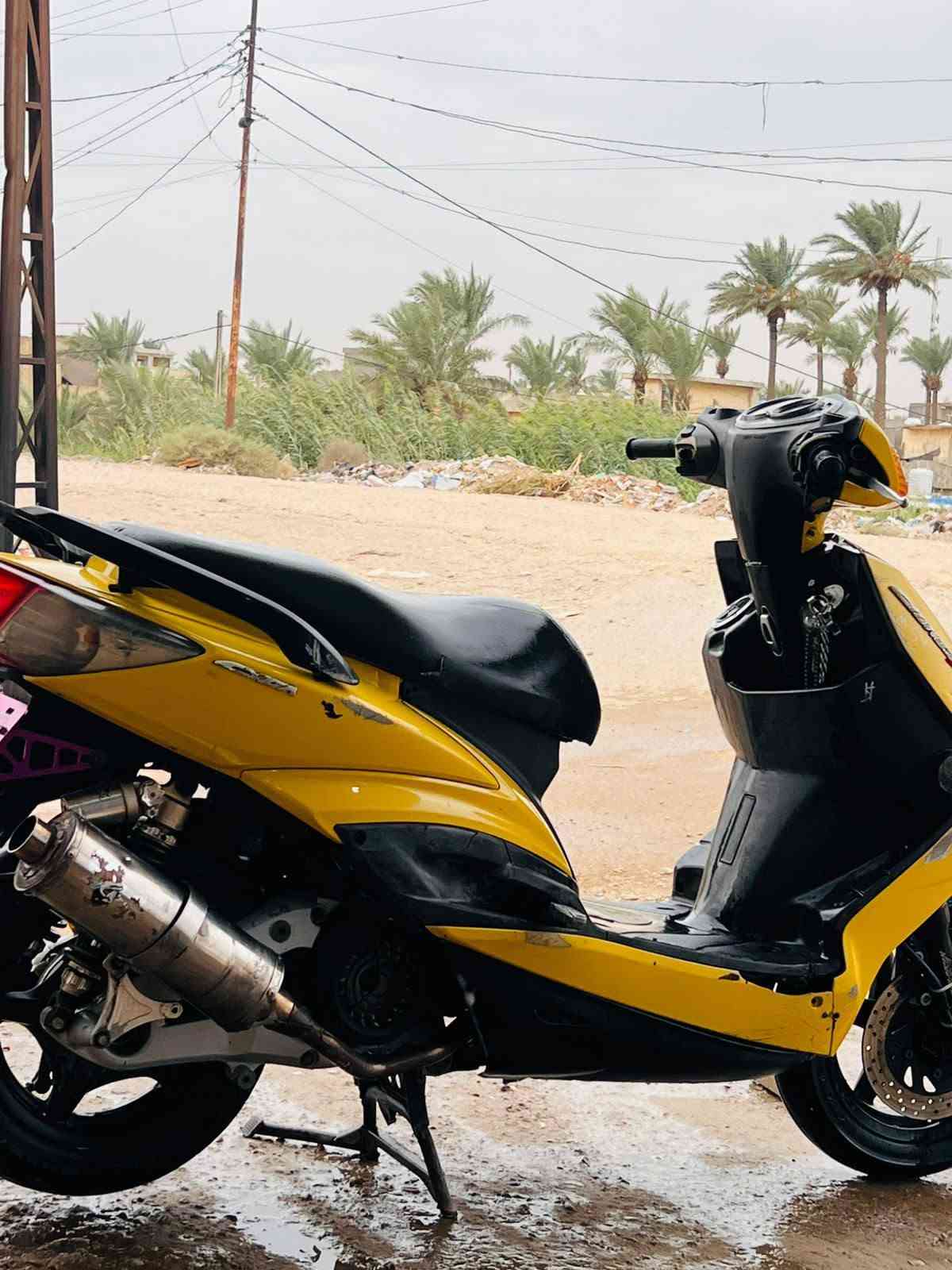 سكنس فحل • نوزل خطين • مكينة ٥٨ ونص