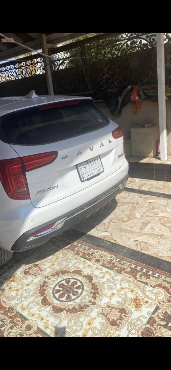 هافال جوليان • ٢٠٢٤ • رقم بصرة