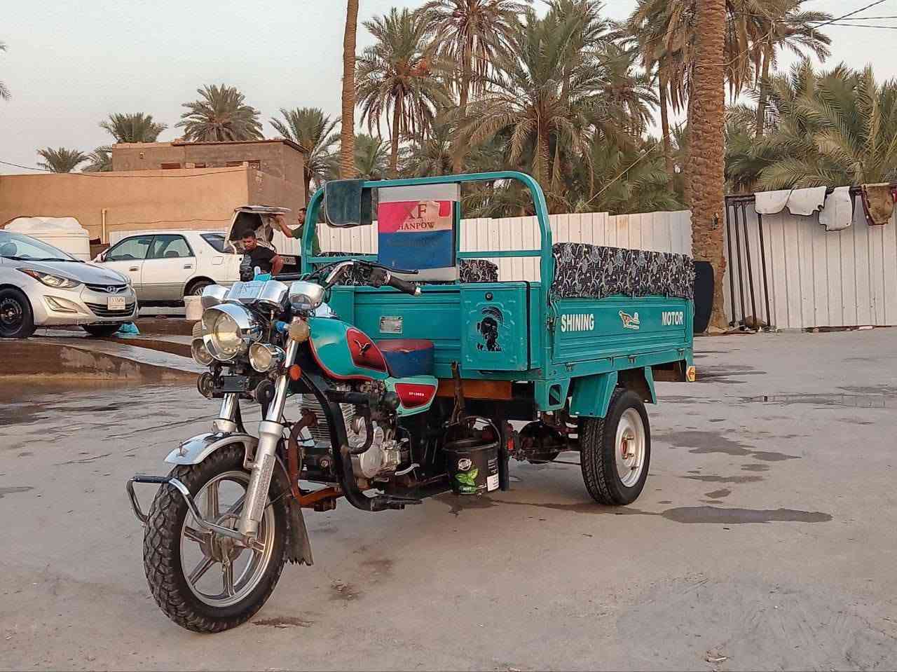 ستوته • ٢٣ • ورقة وكيل