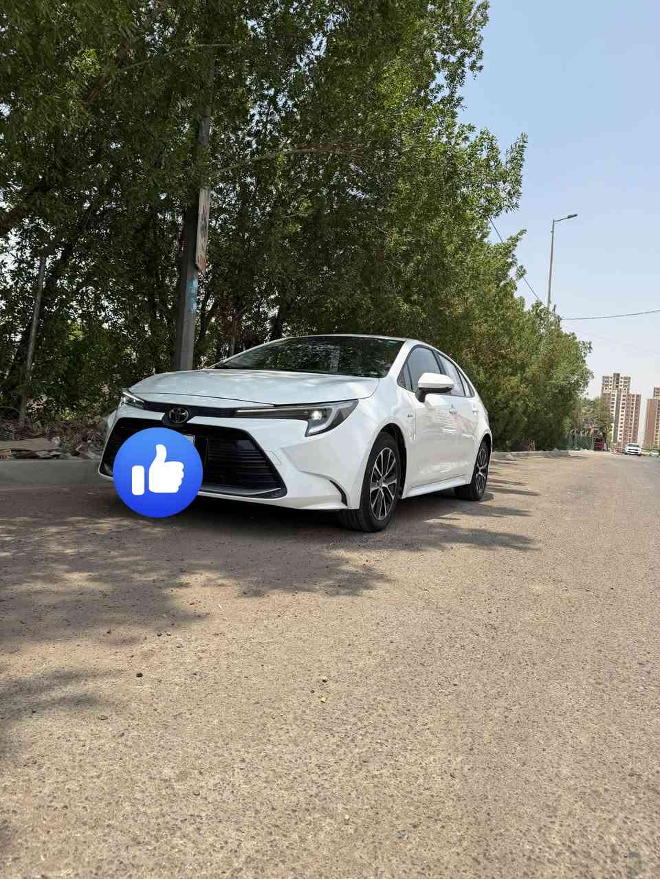 سلام عليكم … 
كورلا هايبرد للبيع 
موديل 2025
كفاله عامه سياره 
ماشيه قليل ٢٣ الف فقط
فول مواصفات … 
بصمه 
فتحه
رادار امامي 
شاشه جبيره
كامره دواره
حساسات خلفيه
تحكمات 
مود درايف
انظمه قياده 
حساسات خلفيه 
مود درايف 
نظام سبورت ايكو وعادي 
لد امامي 
لد خلفي
وبقيه مواصفات معروفه… 
سياره بسمي تحويل ثاني يوم

السعر /// 157 وبيها مجال بسيط
للتواصل/// ***********
