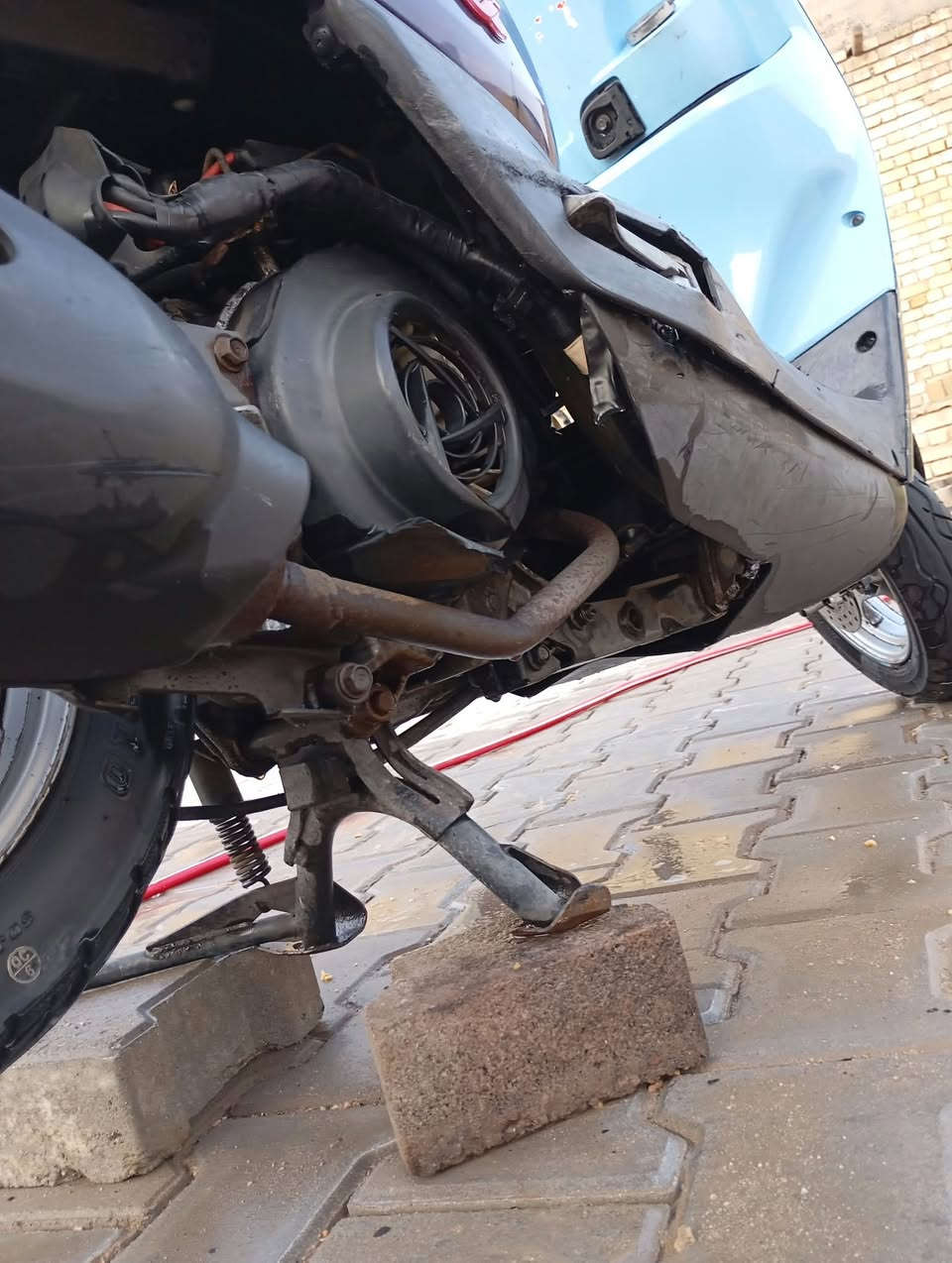 بوليس نوزل • ٢٠١٧ • كفالة