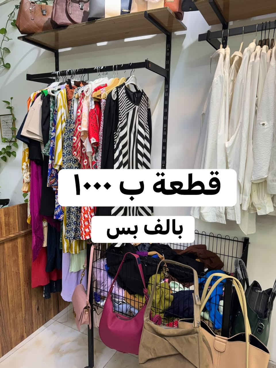 بسماية الشارع العام • تخفيضات • قميص صيفي