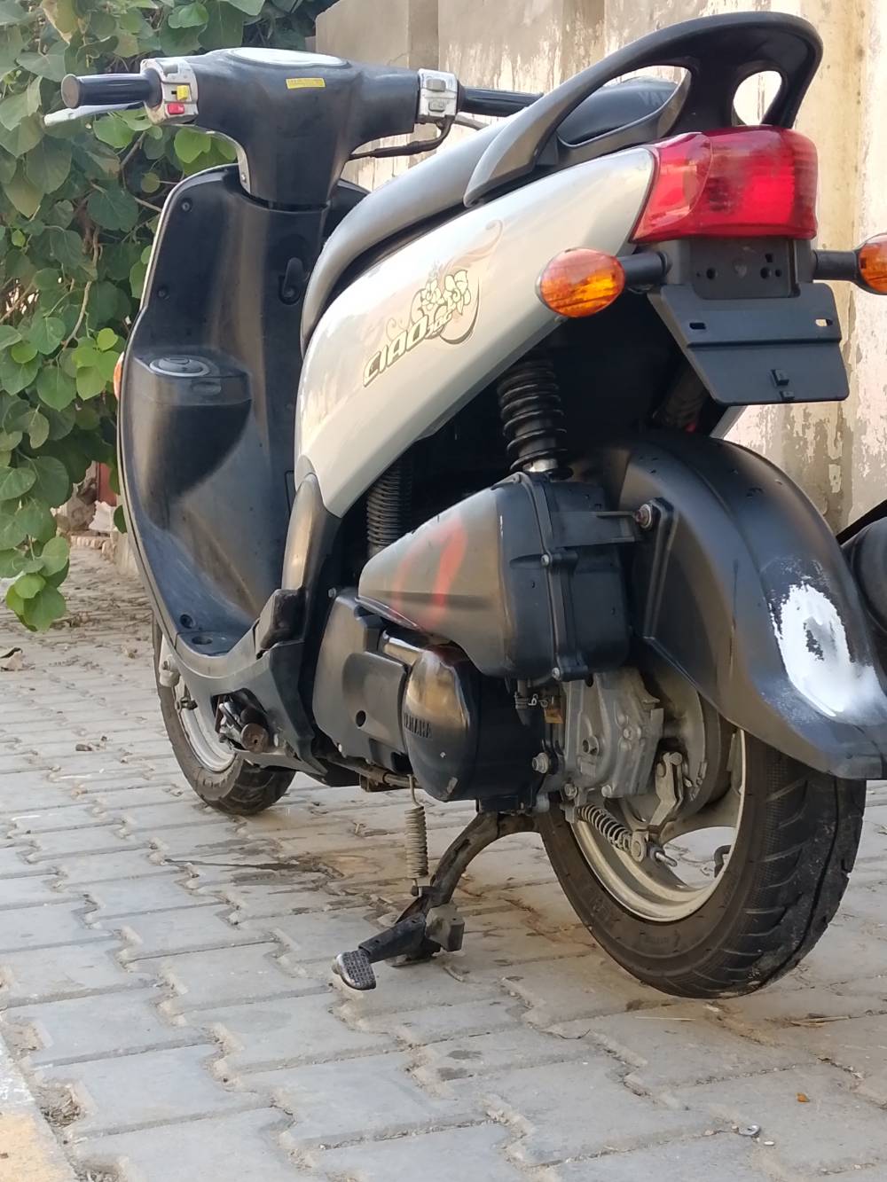 فله رمبه • نضيفه • كفاله فحص