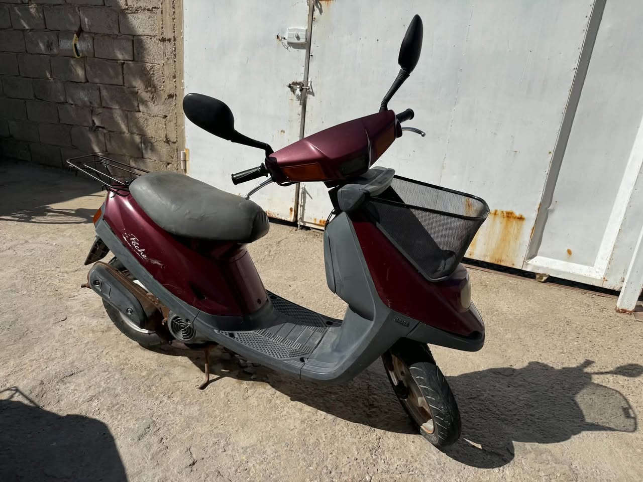 جاهزه • حلوه • البدير