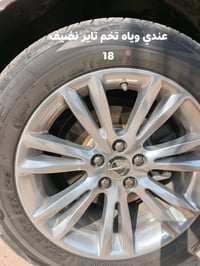 ويل مكسيكي أصلي • حجم ١٨ • ويل عنكبوتي ٢٠