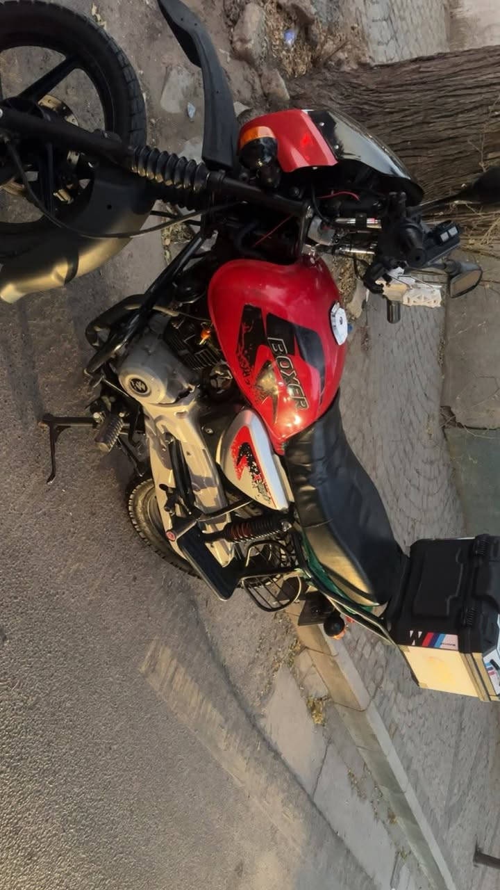 بوكسر • ٢٠٢٣ • ماشيه ٢٣