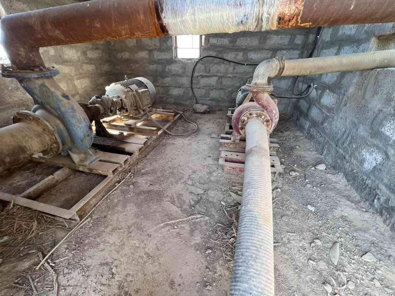 حقول دواجن للبيع
مشروع دواجن للبيع يحتوي على اربع حقول كامله ومساحة كل حقل 100*12 مع ملحقاته و اربع حقول مدفونات و معمل علف متكامل وسياره نقل علف و مولدات عدد 3 500 كي في و منظومة ماء ار او و نظام القاعات حديثه 2021 و جرار مع منظومه نقل العلف من المعمل للقاعات ومساحة المشروع 120 دونم والمشروع شغال والحمد لله وسبب البيع لعدم التفرغ 
العنوان / ذي قار - قلعة سكر  
الاتصال على الرقم 
***********
***********

