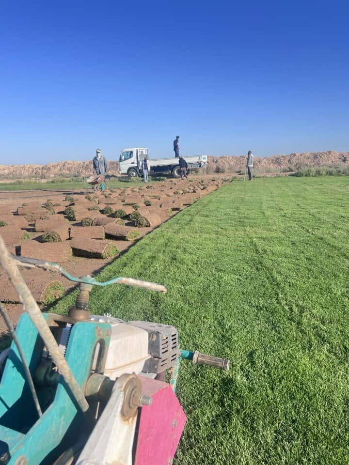ثيل ديالى • طبيعي • درجة أولى