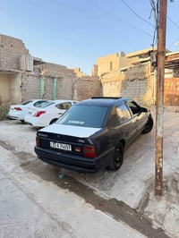 فكترا • ١٩٩٣ • صبغ كامل