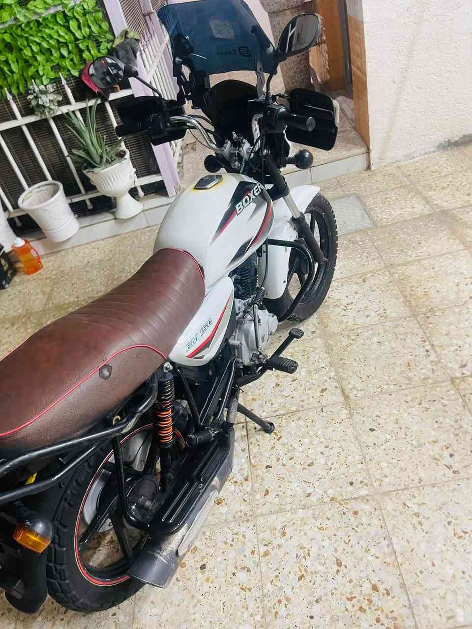 بوكسر موديل ٢٢ كلاسك مرقم نكليزي حله سنويه جديده هزه جديده كلشي جديد تحميل ثاني يوم الدراجه بسمي الدراجه خير من الله كاتم محركها سلف هندر لايت زنون 
مصدات هوائيه أم الإشاير اشاير كلشي شغال تخم تاير جديد باتري جديد الدراجه اماناً الله مامشتغل دلفري بيها 
  
السعر 1900 بيها مجال 
العنوان بغداد الشعب بل نهايه 
الاستفسار ***********
