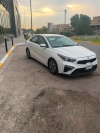 ٢٠١٩ • رقم بغداد • بدون صبغ