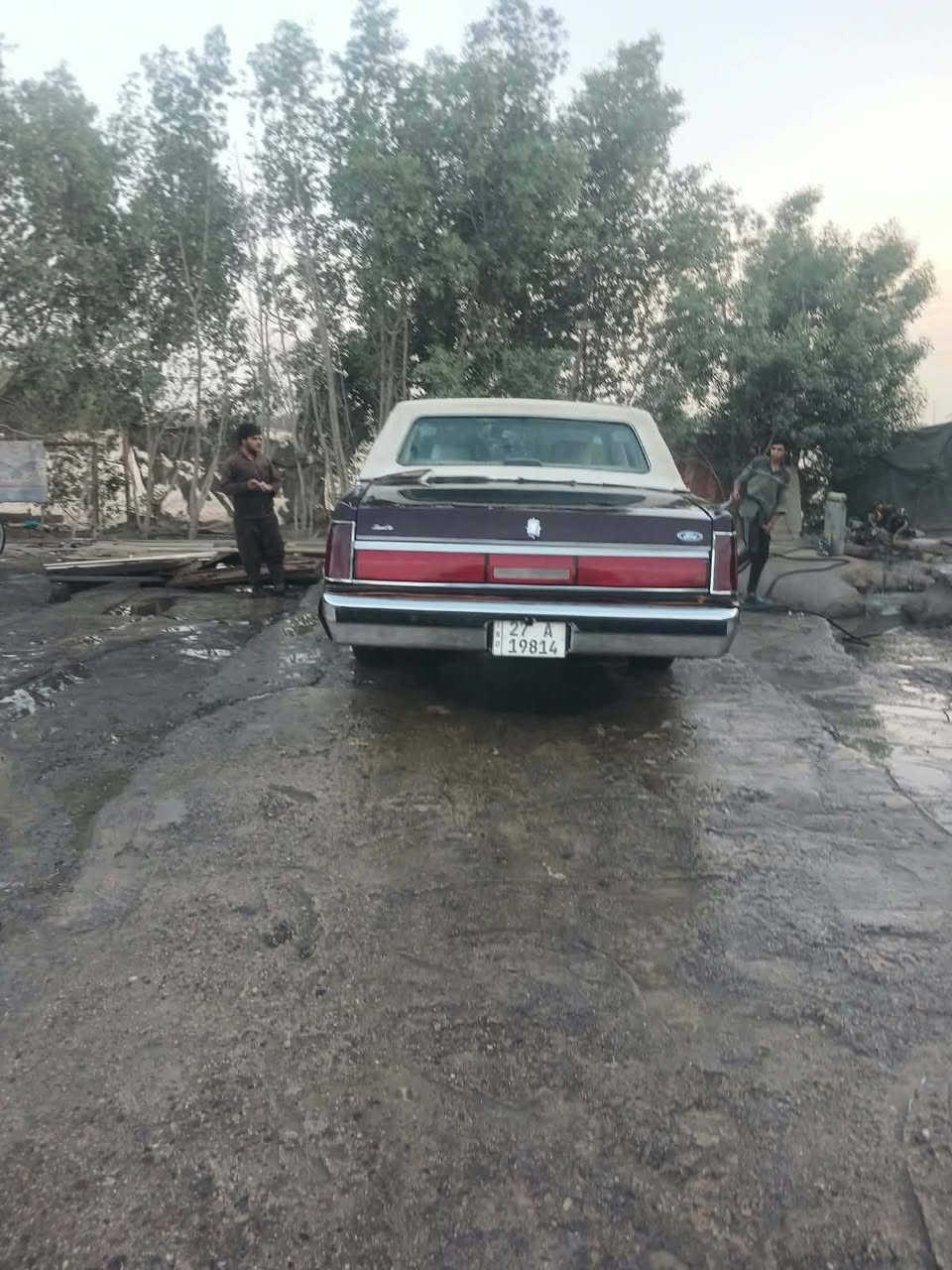 انكولن • موديل ٨٧ • راس الثور