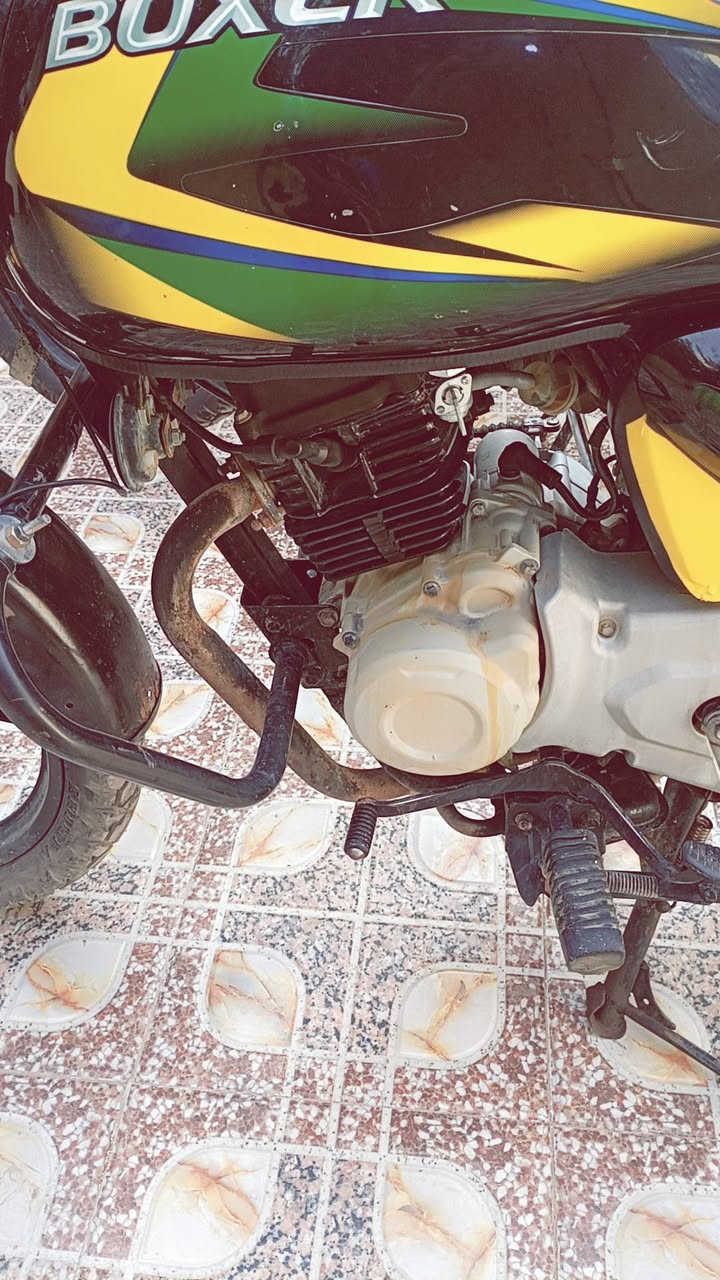 بوكسر • ٢٠٢٢ • مكفول