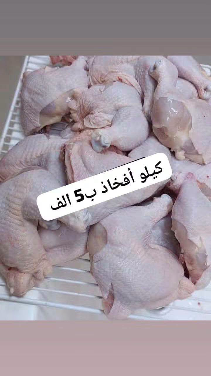 مشكل • أفخاذ • بركر