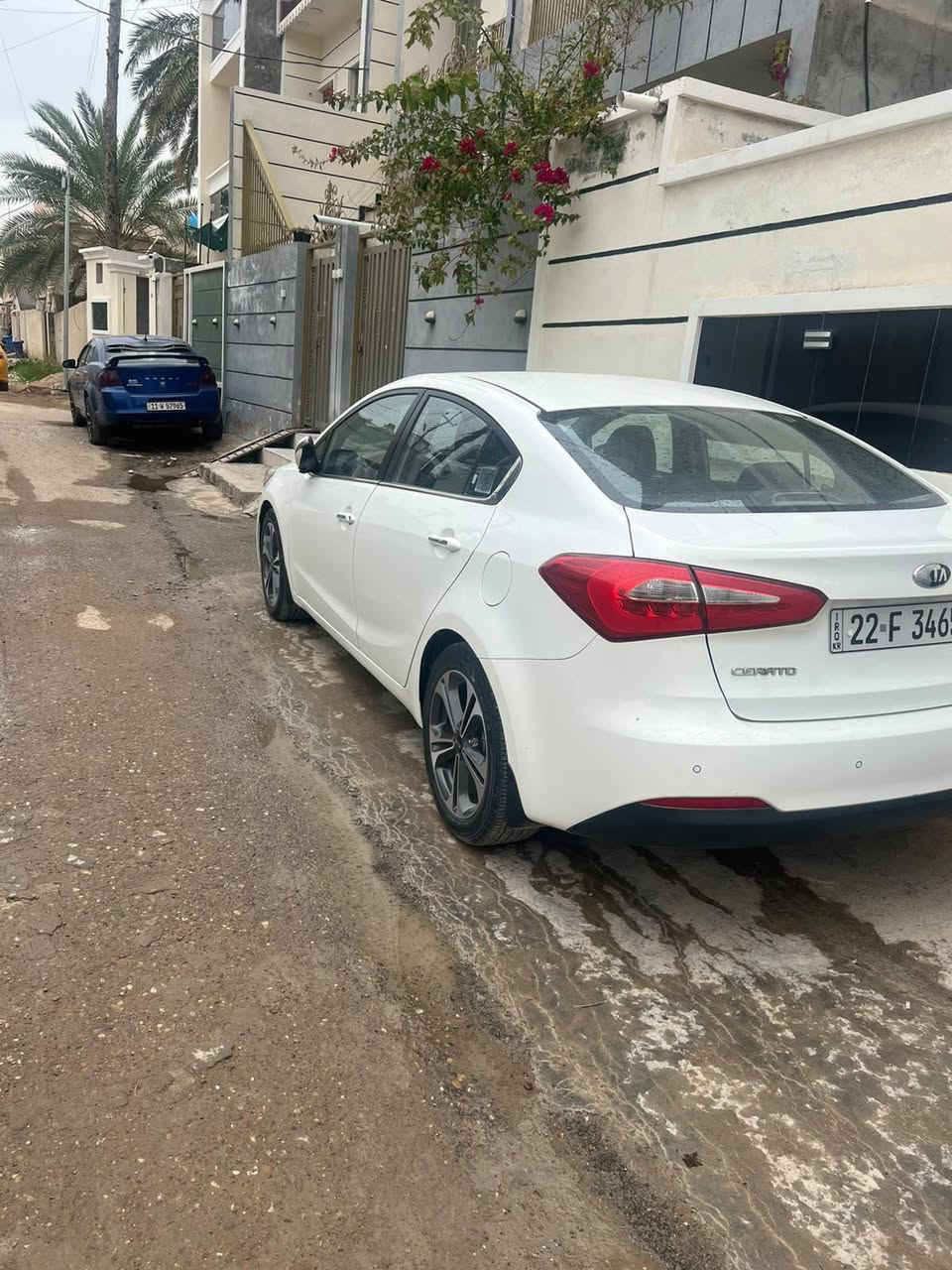 ‏السلام عليكم

سيراتو 14 محرك 1600 ماشية 109 حقيقي كير محرك شركه شرط الكفالة  بأسمي سنوية لل28  تبريد منظومة جديدة منظومة بانزين جديدة صيانة الصدر شهر من سويتة  مال جناي (بدون صبغ بدون تبديل بيها بارد بالجامرلغ الايمن الامامي شبر   فقط) فول مواصفات عدا البصمه والجلد/ فتحة سقف... شفتات ستيرن.. قطعتين تبريد... اشاير بالمري ومري شفط...لد نهاري...5 ويل كروم ///هزة وبراد جديد

‏السعر 123 وبي مجال

‏مكاني بعقوبة 

‏‍***********

‏
