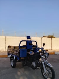 ستوته • فحل • ٢١
