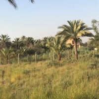 الموقع السياحي • ١٨٠٠م • تحويل باسم المشتري