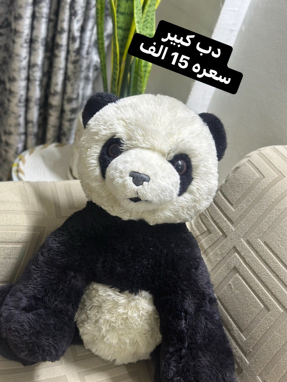 دبب • حجم كبير