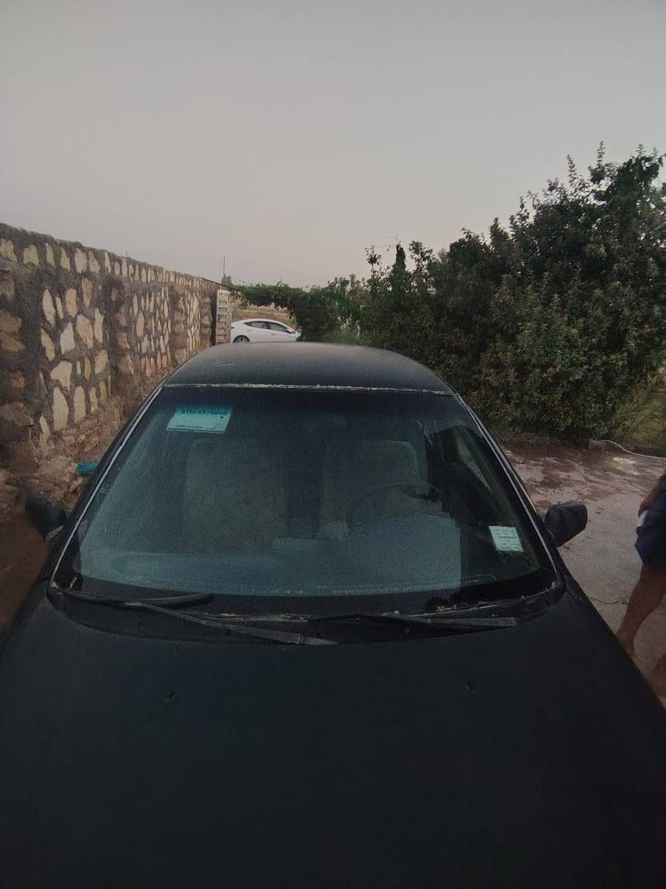 كيا سيفيا موديل 1993 رقم كربلاء الماني مكينه وكير نضيف تخم تاير جديد دواخل نضيفه راعيه جاري السعر 24 وبيه مجال العنوان بابل المسيب للاستفسار على ***********
