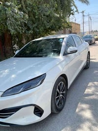 بي واي دي سيل 6 • ٢٠٢٥ • كفالة عام