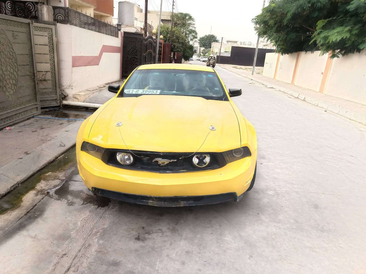 تبديل لون • رقم جديد • كفاله