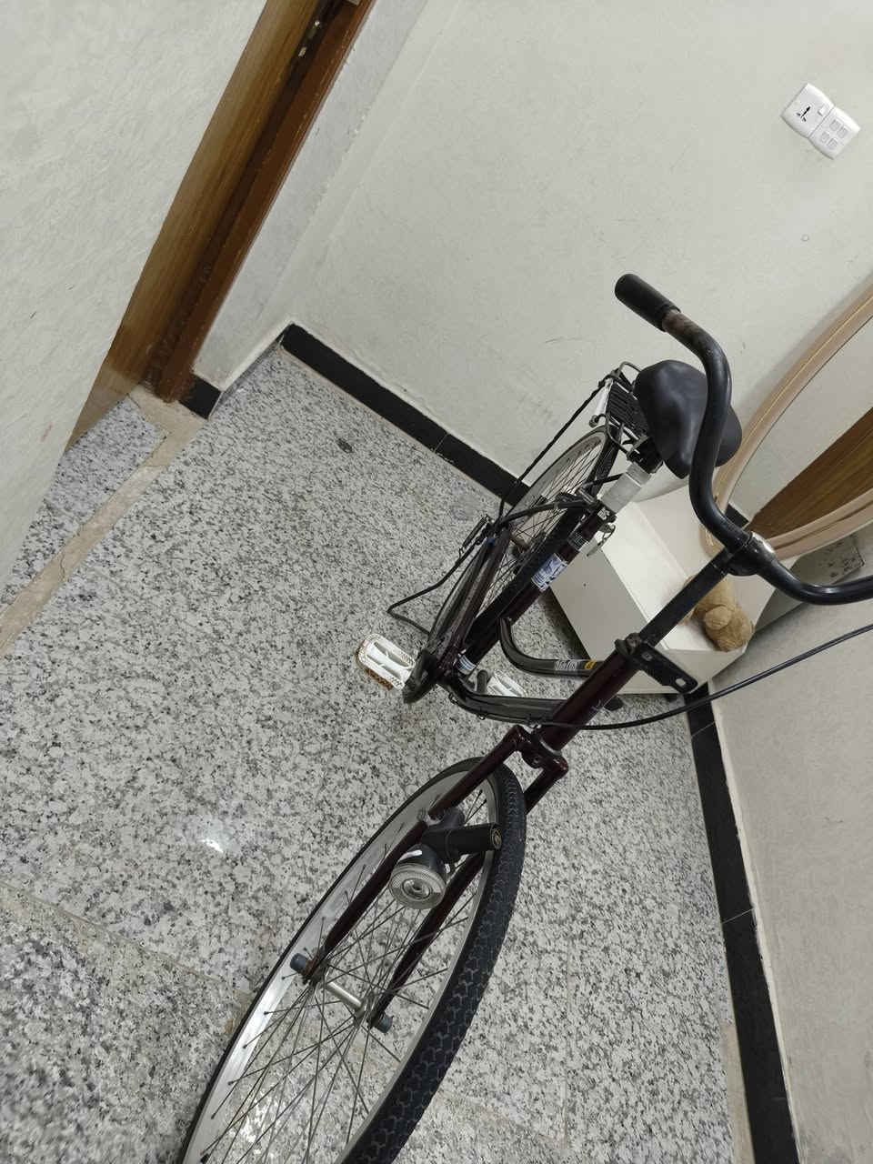 بايسكل • الديوانيه