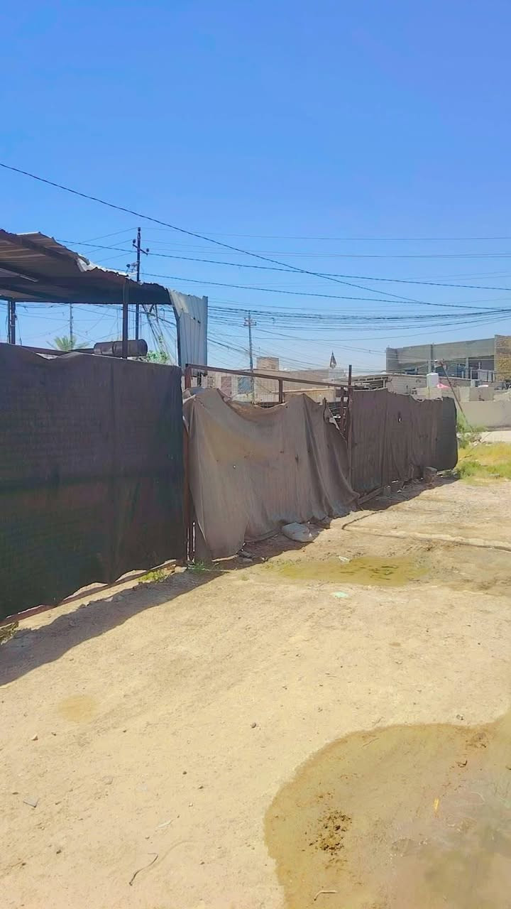 سلام عليكم موقع للبيع في النجف الاشرف بلحيدريه الحمل 600 بي مولده وحده السكانيه دياس  كيفيه ١٥٠ رقم الهاتف ((***********٢٦)) ((٢٦ وبي مجال))
