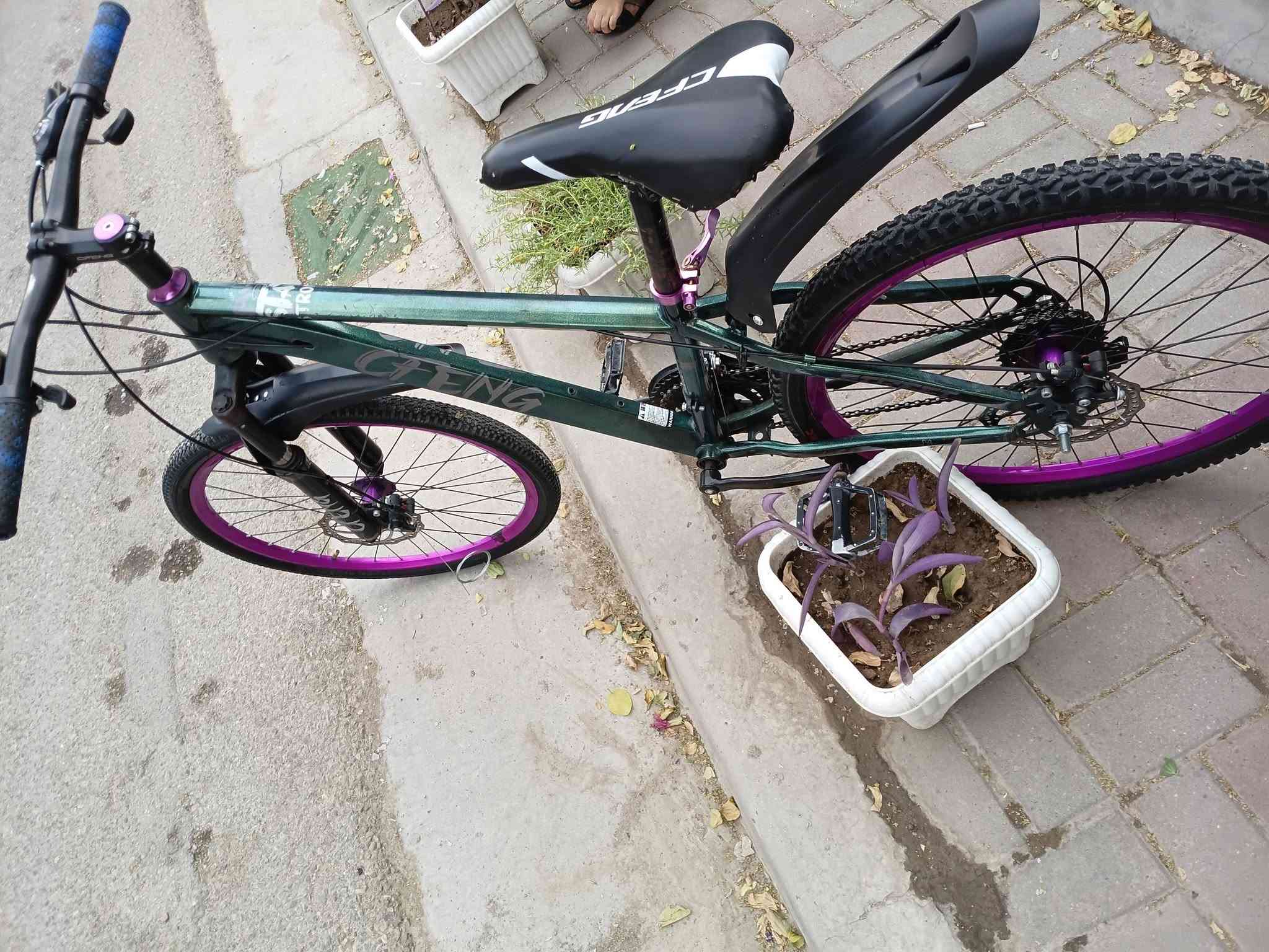 برازيلي للبيع نوعيه ليدز  نضيف جدآ كله شغال مببدل فقط تير امامي السعر ١٢٠ وبي مجال المكان بغداد الحريه التوصل خاص او وتساب ***********
